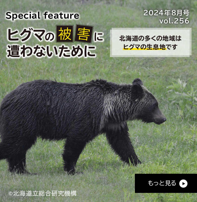 ヒグマの被害に遭わないために