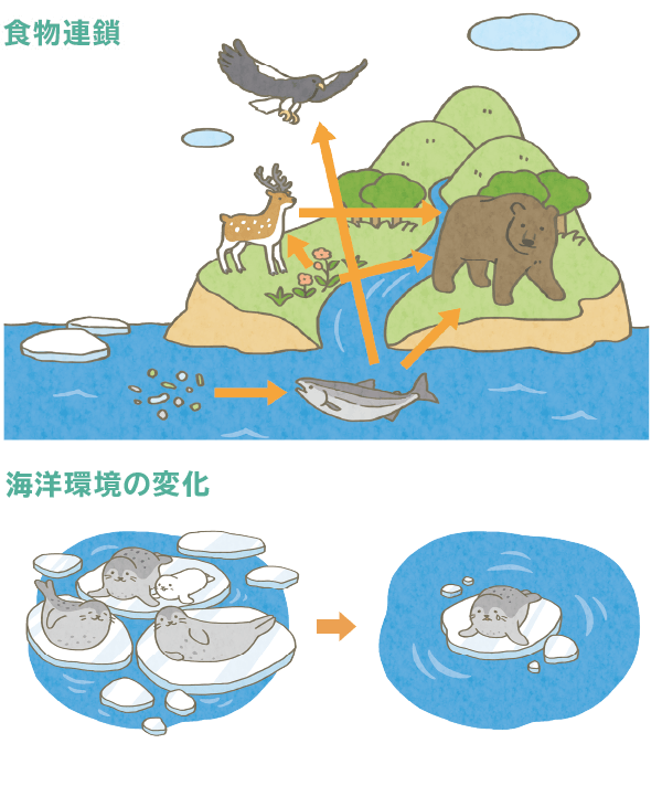 食物連鎖