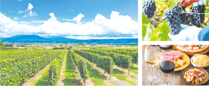 北海道の各地域ワイン