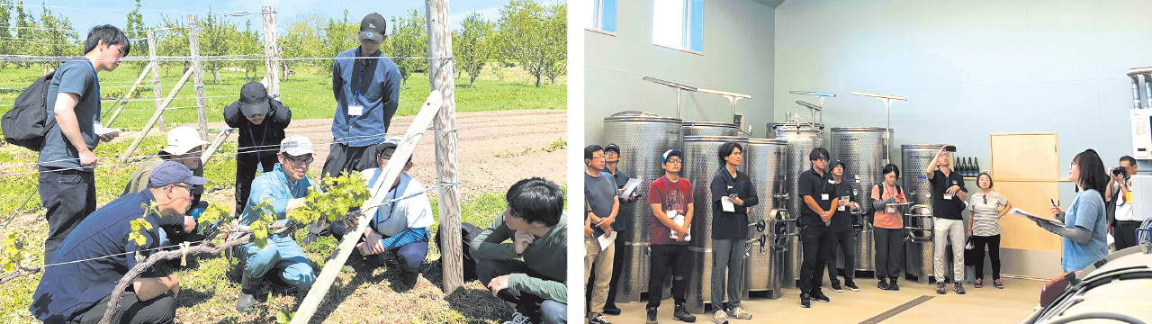 北海道ワインアカデミー